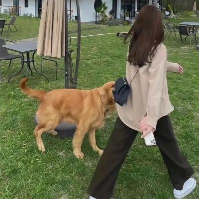 怪人开发部的黑井津小姐